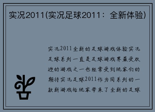 实况2011(实况足球2011：全新体验)
